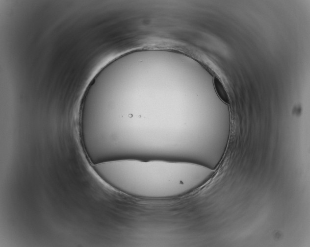 X0000103321487200809050948