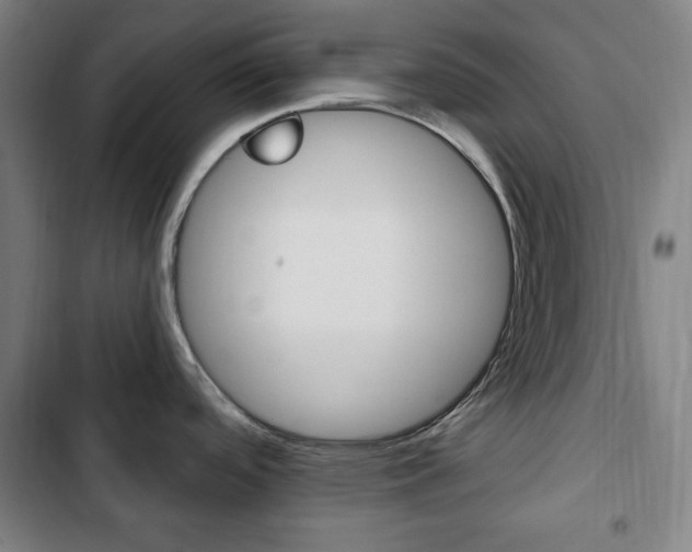 X0000103321488200809050948