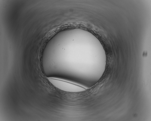 X0000103321489200809050947