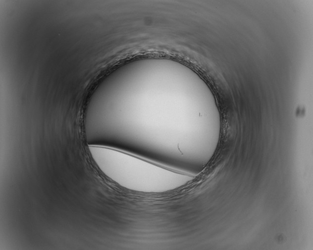X0000103321490200809050947