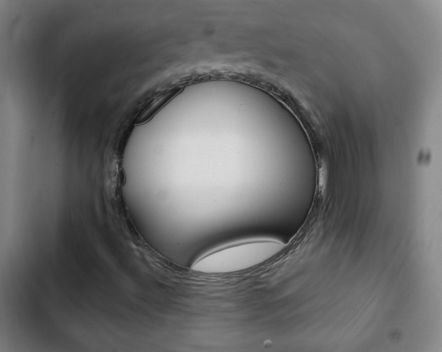 X0000103321492200809050947