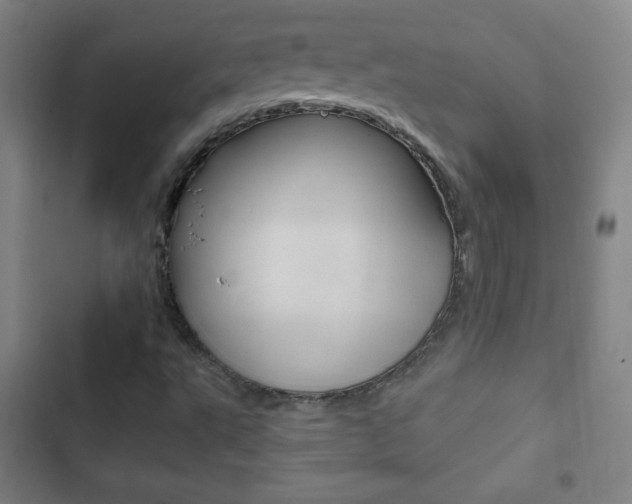 X0000103321495200809050947