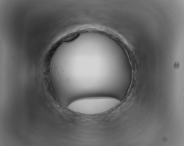 X0000103321496200809050947