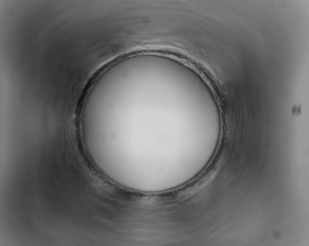 X0000103321497200809050947