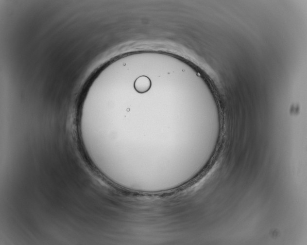 X0000103321498200809050947