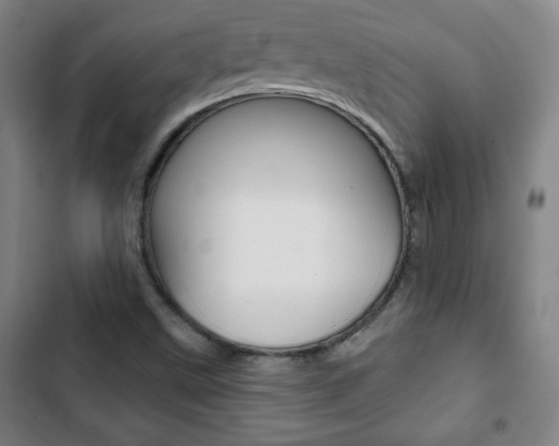 X0000103321499200809050947