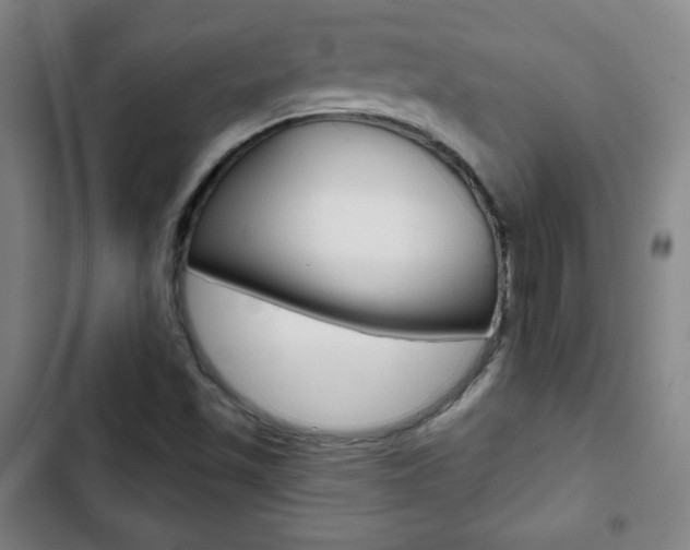 X0000103321501200809050947