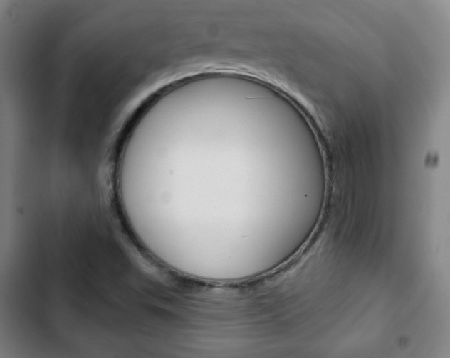 X0000103321503200809050947
