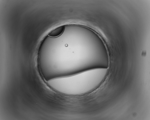 X0000103321504200809050947