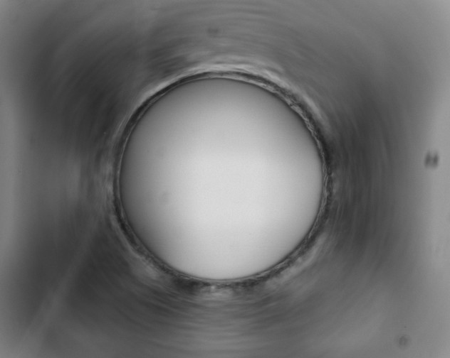 X0000103321505200809050947