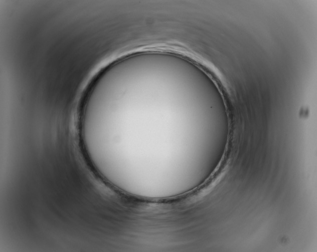 X0000103321506200809050947