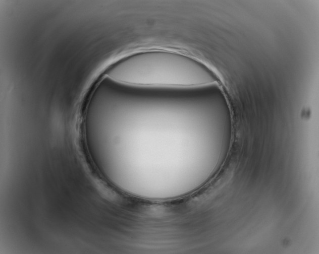 X0000103321507200809050947