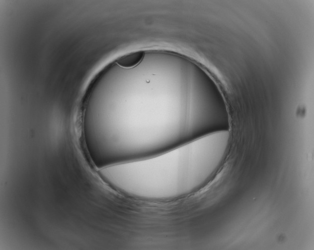 X0000103321510200809050947