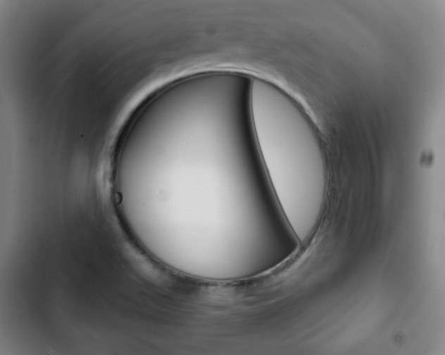 X0000103321511200809050947