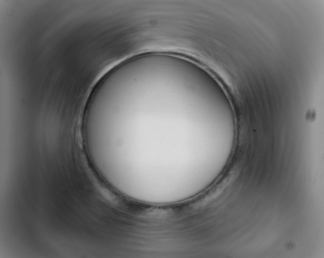 X0000103321513200809050947