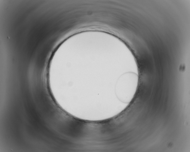 X0000103321514200809050947