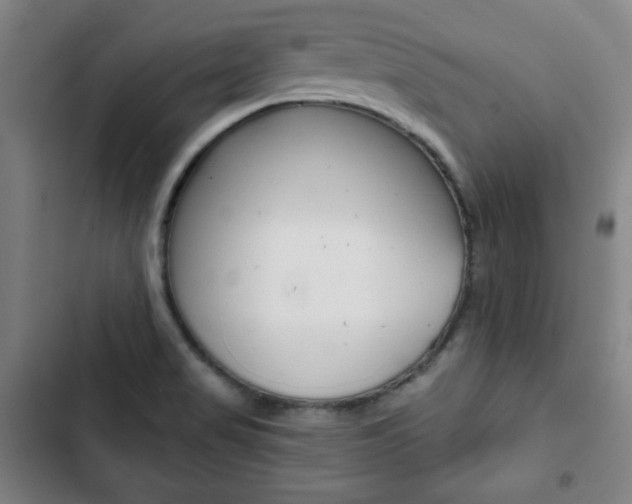 X0000103321517200809050947