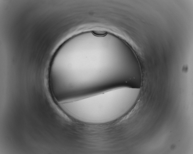 X0000103321518200809050947