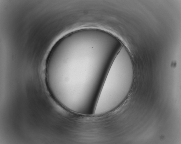 X0000103321519200809050947