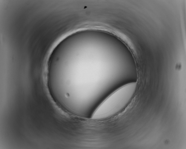 X0000103321520200809050947
