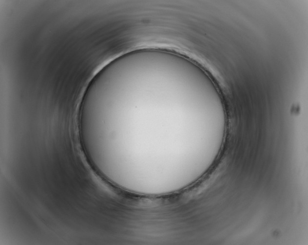 X0000103321521200809050947
