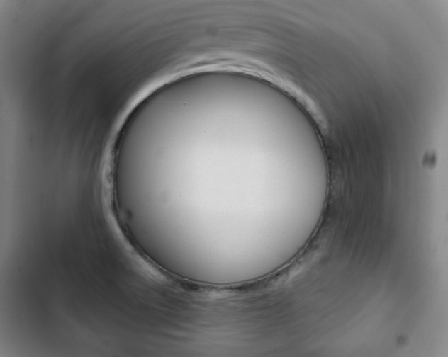 X0000103321522200809050947