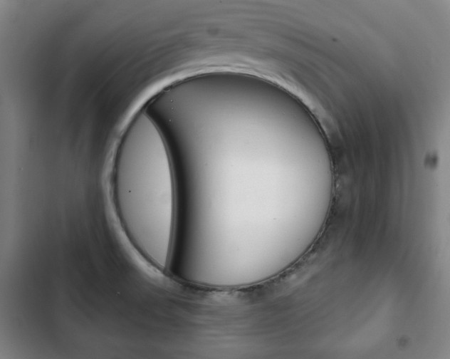 X0000103321523200809050947