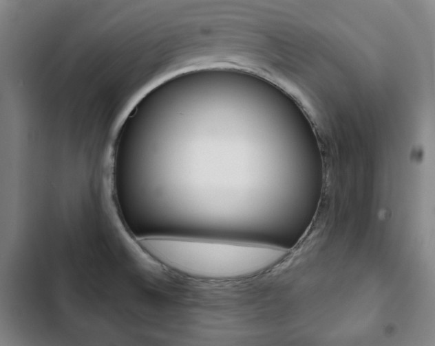 X0000103321524200809050947