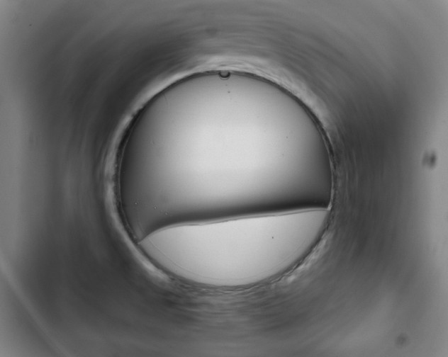 X0000103321525200809050947