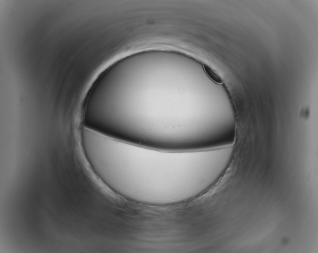 X0000103321526200809050947