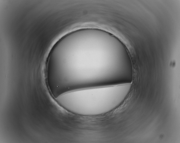 X0000103321527200809050947