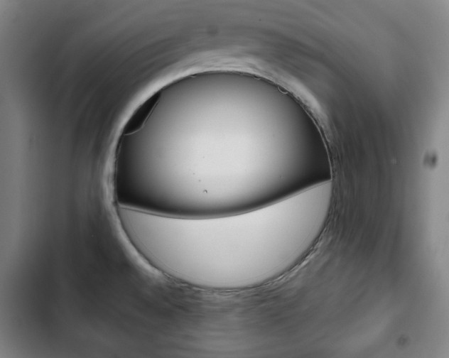 X0000103321528200809050947