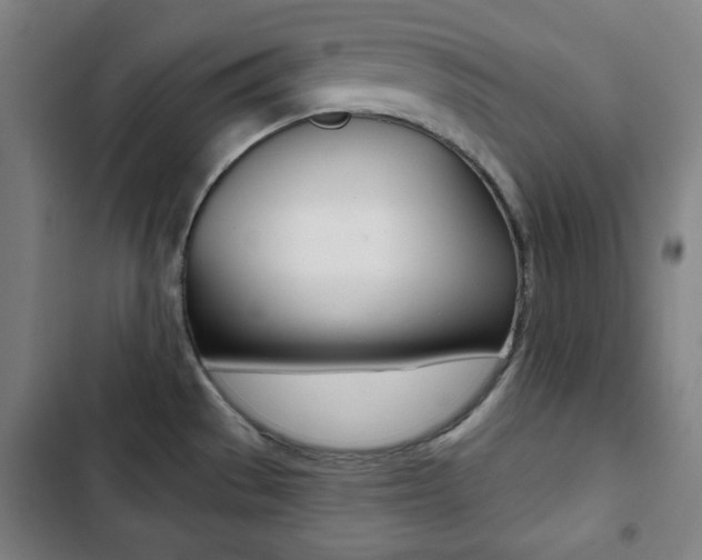 X0000103321529200809050948