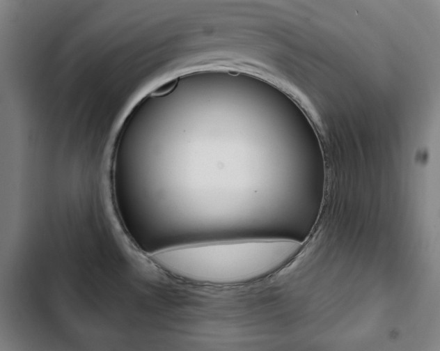 X0000103321530200809050948
