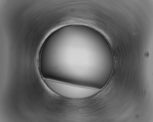 X0000103321531200809050948