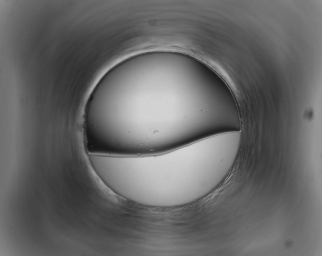 X0000103321532200809050948