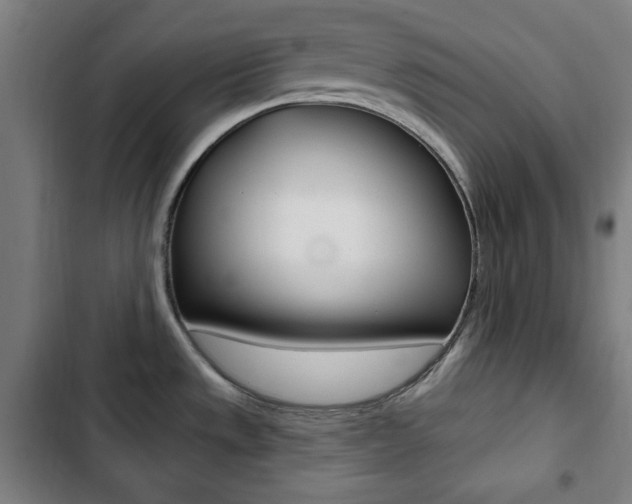 X0000103321533200809050948