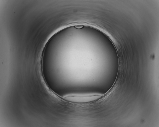X0000103321534200809050948