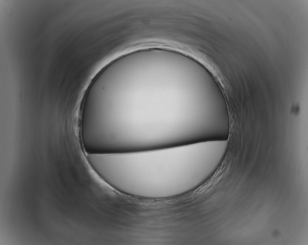 X0000103321535200809050948