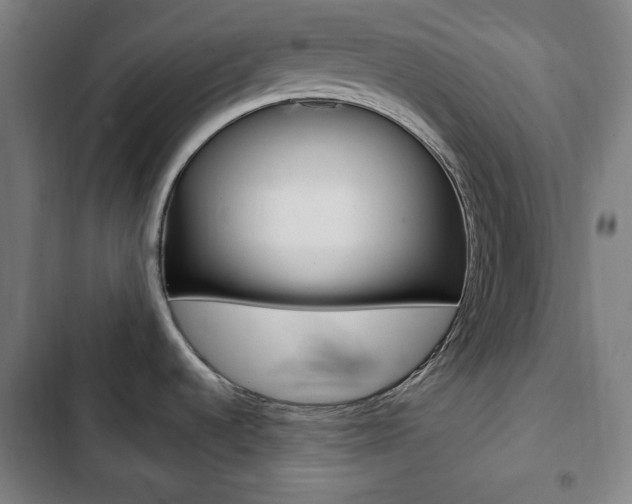 X0000103321536200809050948