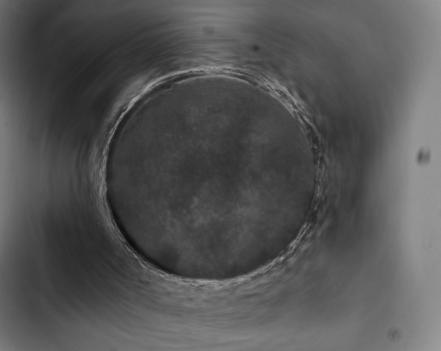 X0000103320002200809051157