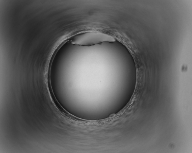 X0000103320003200809051157