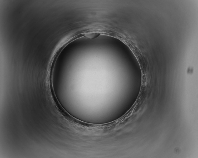 X0000103320004200809051157