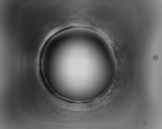 X0000103320008200809051157