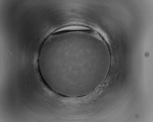 X0000103320009200809051157