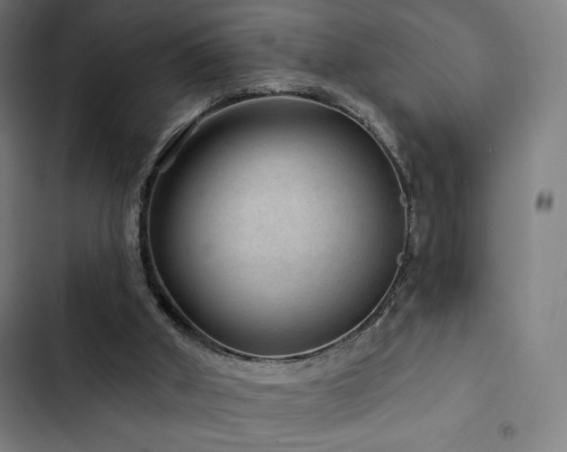 X0000103320010200809051157