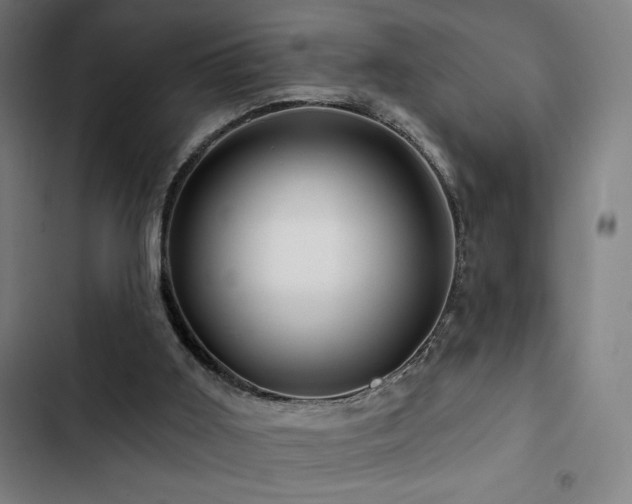 X0000103320011200809051157