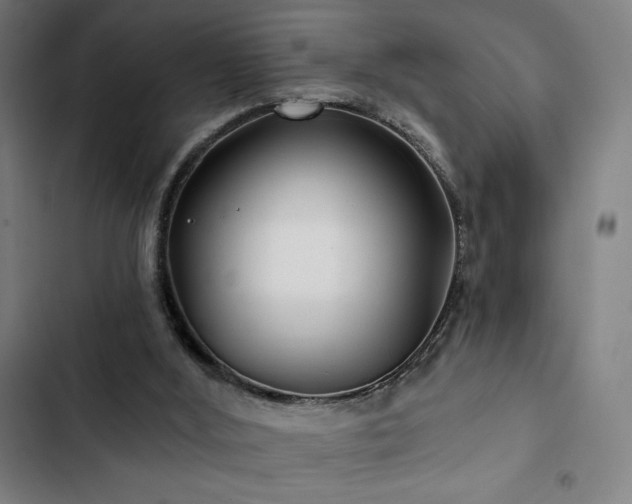 X0000103320012200809051157