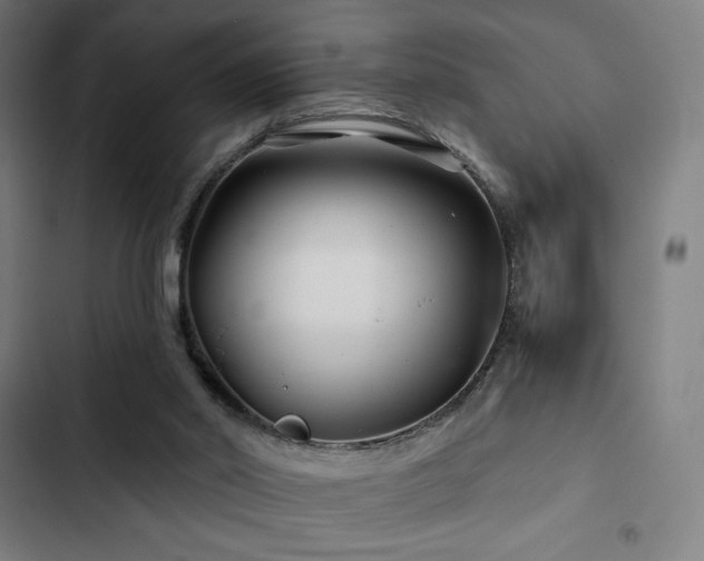 X0000103320014200809051157