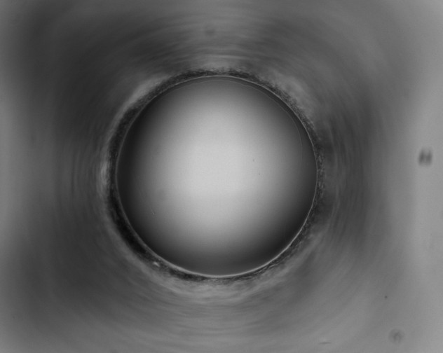 X0000103320016200809051157